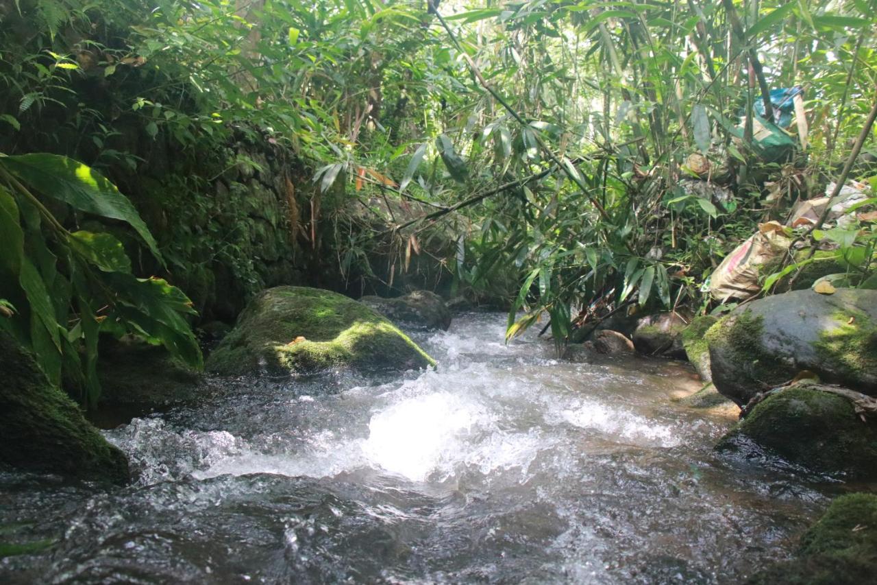 Nature Routes Cottage Munnar Dış mekan fotoğraf