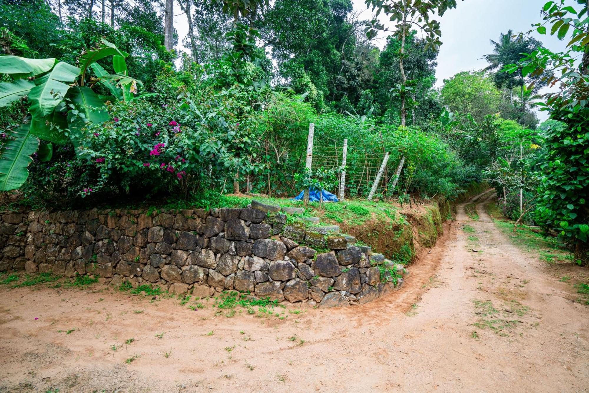 Nature Routes Cottage Munnar Dış mekan fotoğraf