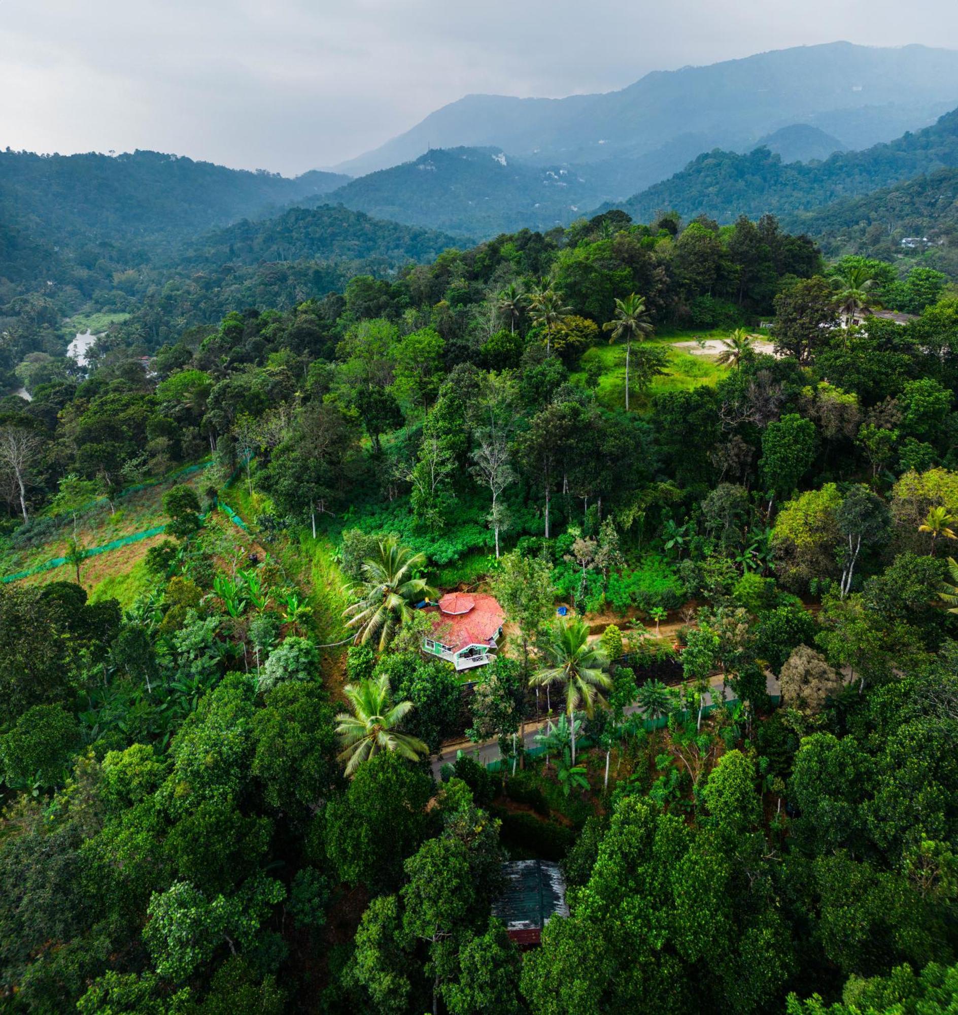 Nature Routes Cottage Munnar Dış mekan fotoğraf